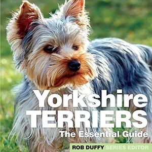 MediaTronixs Yorkshire Terriers: Essential Guide