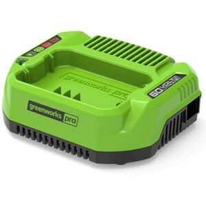 Battery charger Greenworks G60UC