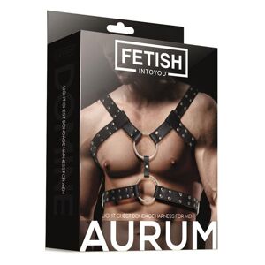 Fetish Black Shadow Fetish Aurum Light Chest Bondage Harness Bondage sele