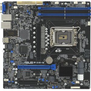 Motherboard Asus P13R-M