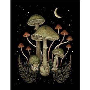 Episodic Drawing Death Cap Framed Poster