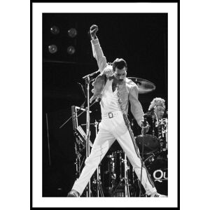 Printi FREDDIE MERCURY II PLAKAT