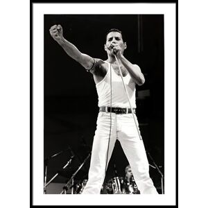 Printi Freddie Mercury No4 Plakat