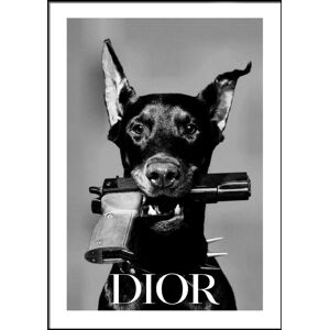 Printi Dior Dog Plakat