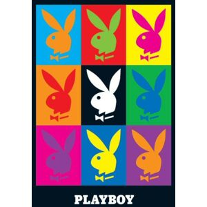 Playboy - Pop Art