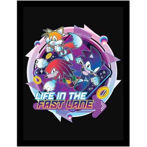 Sonic The Hedgehog Khaos Life In The Fast Lane Framed Poster