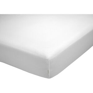 GreatTiger Fitted bottom sheet Alexandra House Living QUTUN White 105 x 200 cm