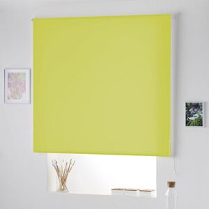 Gennemsigtigt rullegardin Naturals Pistacie - 140 x 250 cm