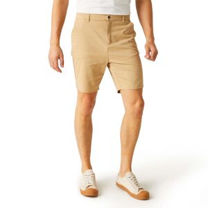 Regatta Shorts Sabden Beige 34 Kvinde