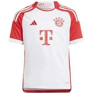 Adidas Junior Kortærmet T-shirt Hjem Fc Bayern 23/24 Rød 13-14 Years