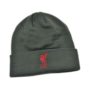 Liverpool FC Unisex Adult Bronx Liver Bird Knitted Turned Up Cuff Beanie