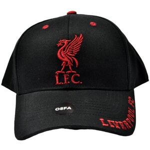 Liverpool FC Unisex Adult Mass Frost Snapback Cap