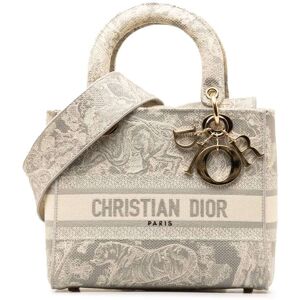 Christian Dior Pre-owned Dior Medium Toile de Jouy Lady D-Lite Gray