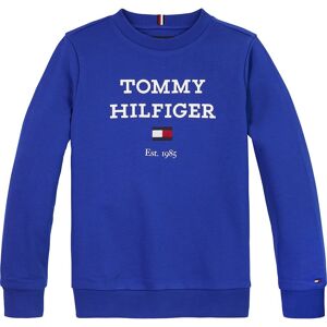 Tommy Hilfiger Sweatshirt Kb0kb08713 Blå 16 Years Dreng