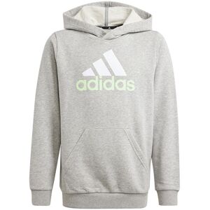 Adidas Hættetrøje Essentials 2 Coloured Big Logo Grå 11-12 Years Dreng