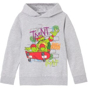 Teenage Mutant Ninja Turtles Childrens/Kids Shell Skater Hoodie