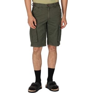 Regatta Shorebay Shorts Grøn 32 Mand