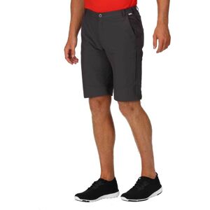 Regatta Highton Long Shorts Grå 36 Mand