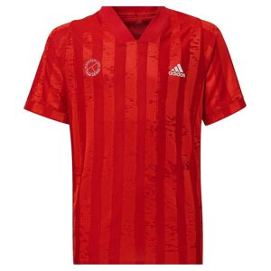 Adidas Kortærmet T-shirt Printed Freelift Rød 11-12 Years