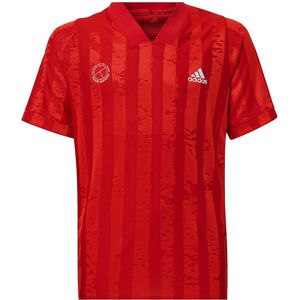 Adidas Kortærmet T-shirt Printed Freelift Rød 13-14 Years