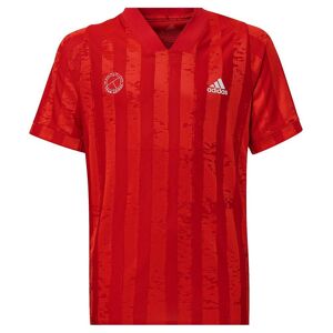 Adidas Kortærmet T-shirt Printed Freelift Rød 15-16 Years