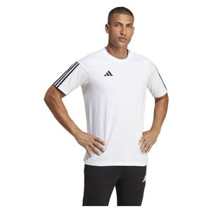 Adidas Ic4574 T-shirt Med Korte ærmer Hvid XL / Regular Mand