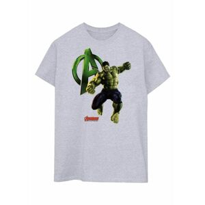 Hulk Mens Pose T-Shirt