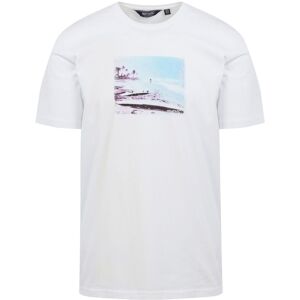 Regatta Mens Cline VIII Beach T-Shirt