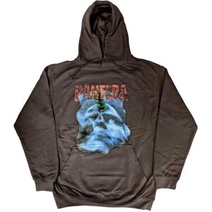 Pantera Unisex Pullover Hoodie: Far Beyond Driven World Tour (X-Large)