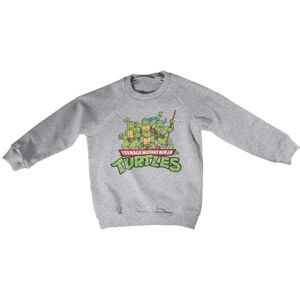 Teeange Mutant Ninja Turtles Distressed Group Kids Sweatshirt 4Years-XS