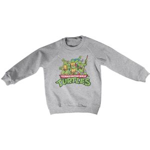 Teeange Mutant Ninja Turtles Distressed Group Kids Sweatshirt 8Years-M