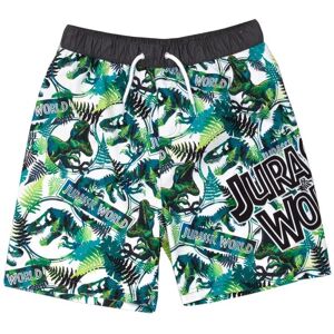 Jurassic World Badeshorts til drenge med dinosaurusser