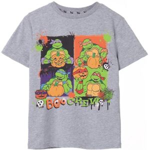 Teenage Mutant Ninja Turtles Childrens/Kids Boo Crew Marl T-Shirt