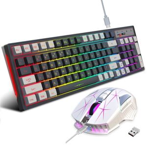 HXSJ L98 2.4G Wireless RGB Keyboard and Mouse Set 104 Keys + 1600DPI Mouse(White)