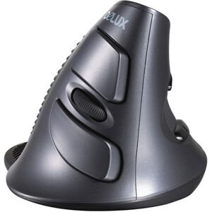 DELUX M618 6-Keys Vertical Snail Ergonomic Wireless Mouse(Black)