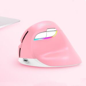 DELUX M618 Mini 2.4G Wireless 2400DPI USB Rechargeable Ergonomic Vertical Mouse (Pink)