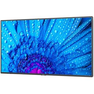 NEC Overvåge M431 43´´ 4k Led Lcd Blå One Size / EU Plug