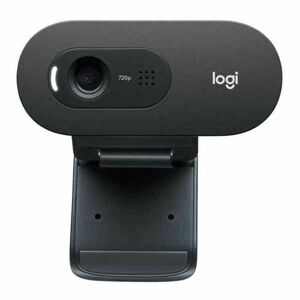 Webcam Logitech 960-001372 HD 720P Sort