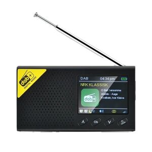 SupplySwap Bærbar digital radio, Bluetooth-kompatibel, 24 tommer LCD-skærm, sort
