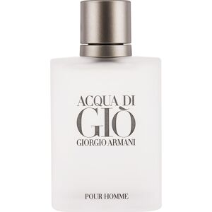 Giorgio Armani Acqua Di Gio Pour Homme Edt 100ml