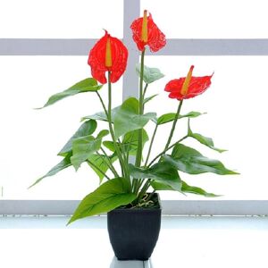 Shoppo Marte Artificial Flower Calla Plant Potted Home Decoration Green Plant(Red)