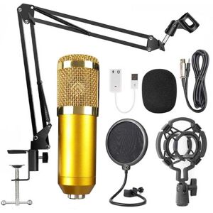 Googinbazar Karaoke Microphone BM-800 Studio Condenser Microphone for Broadcasting, Singing and Recording