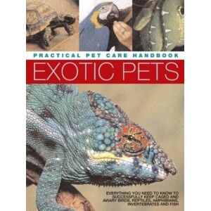 MediaTronixs Exotic Pets (Practical Pet Care Hand S.) by Alderton, David