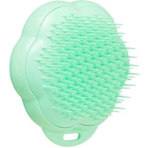 Pet Teezer Cat Grooming Brush - en børste til mellemhårede katte