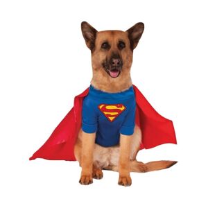 Superman Hundekostume