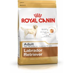 Foder Royal Canin Labrador Retriever Adult 12 kg Voksen Fugle 20-40 Kg