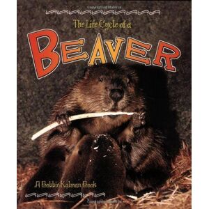 MediaTronixs The Life Cycle of a Beaver (Life Cyc…, Kalman, Bobbie