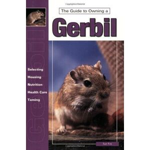 MediaTronixs Guide to Owning a Gerbil (Re Series), Putman, Perry