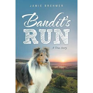 MediaTronixs Bandit’s Run: A True Story, Brehmer, Jamie