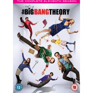 MediaTronixs The Big Bang Theory: The Complete Eleventh Season DVD (2018) Johnny Galecki Region 2